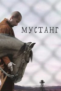 смотреть онлайн
