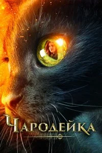 смотреть онлайн