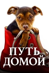 смотреть hd 720-1080